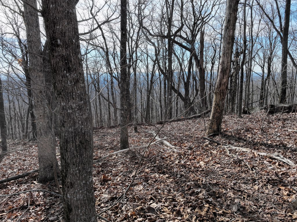 256 Blood Root Trail Property Photo 34