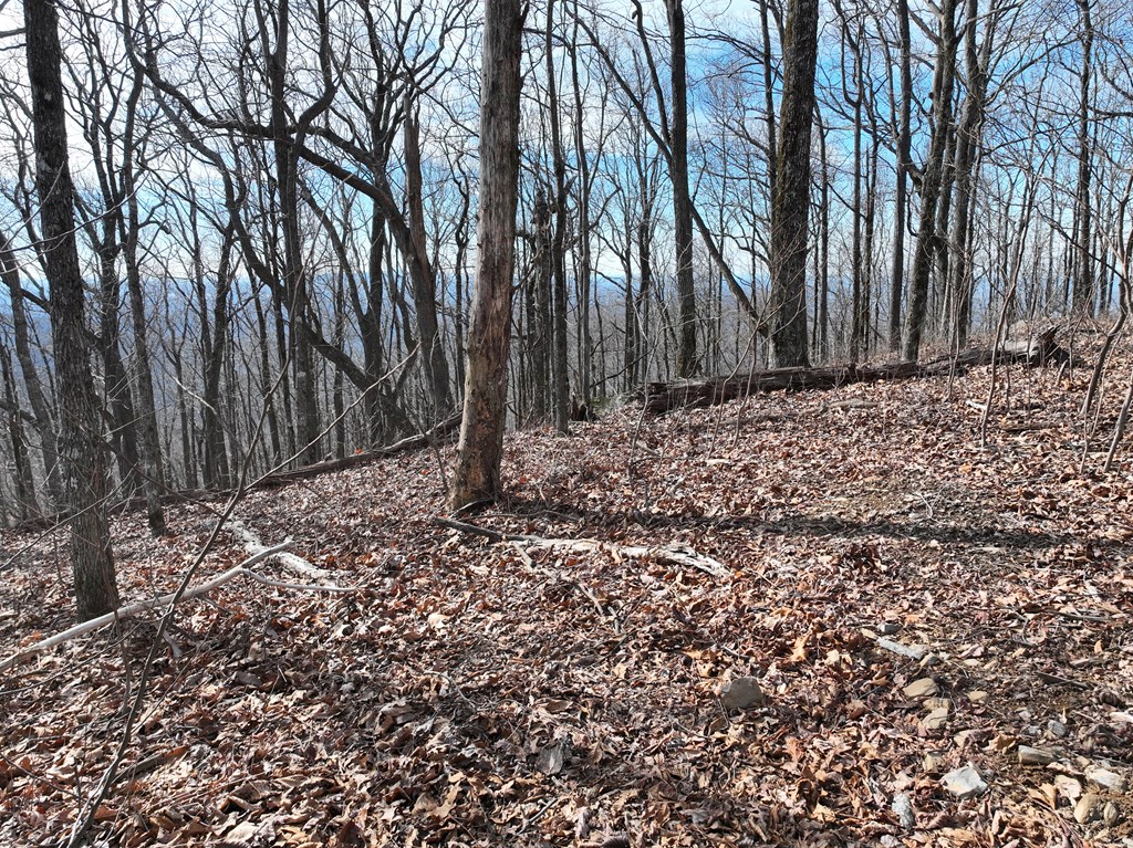 256 Blood Root Trail Property Photo 35