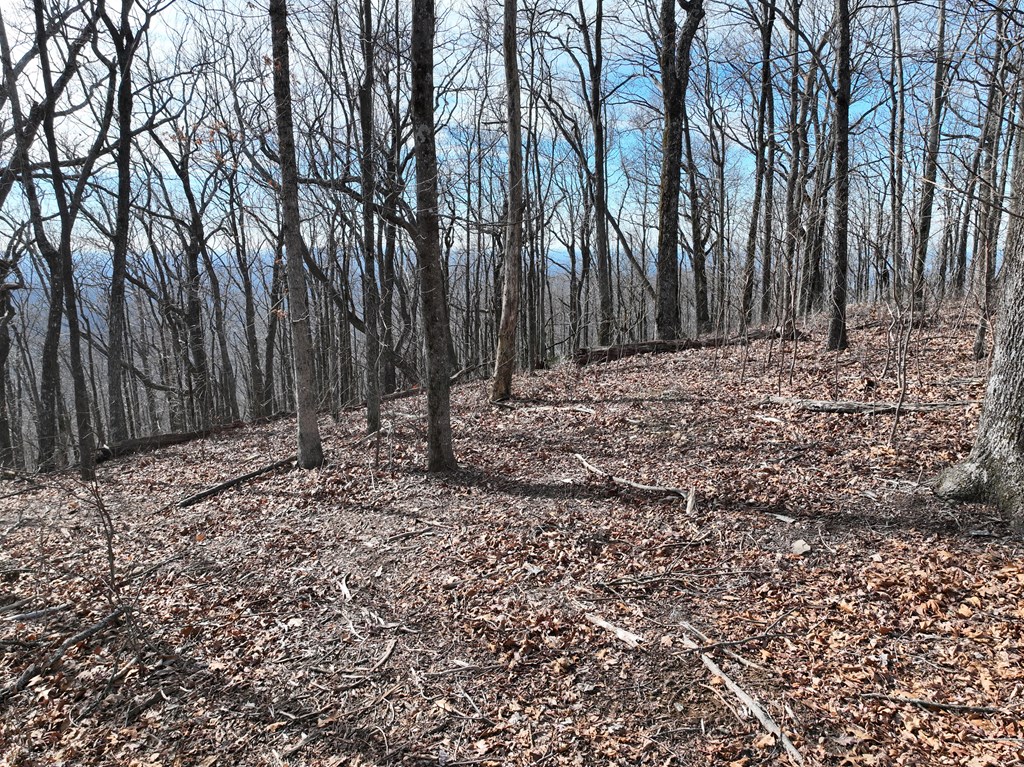 256 Blood Root Trail Property Photo 36