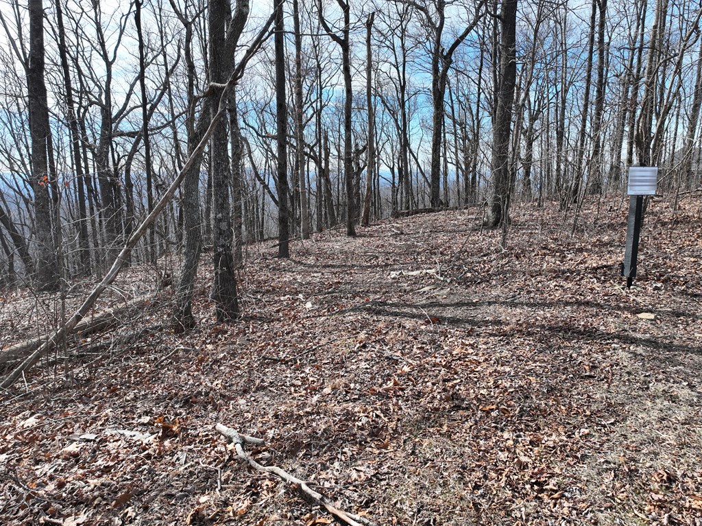 256 Blood Root Trail Property Photo 37