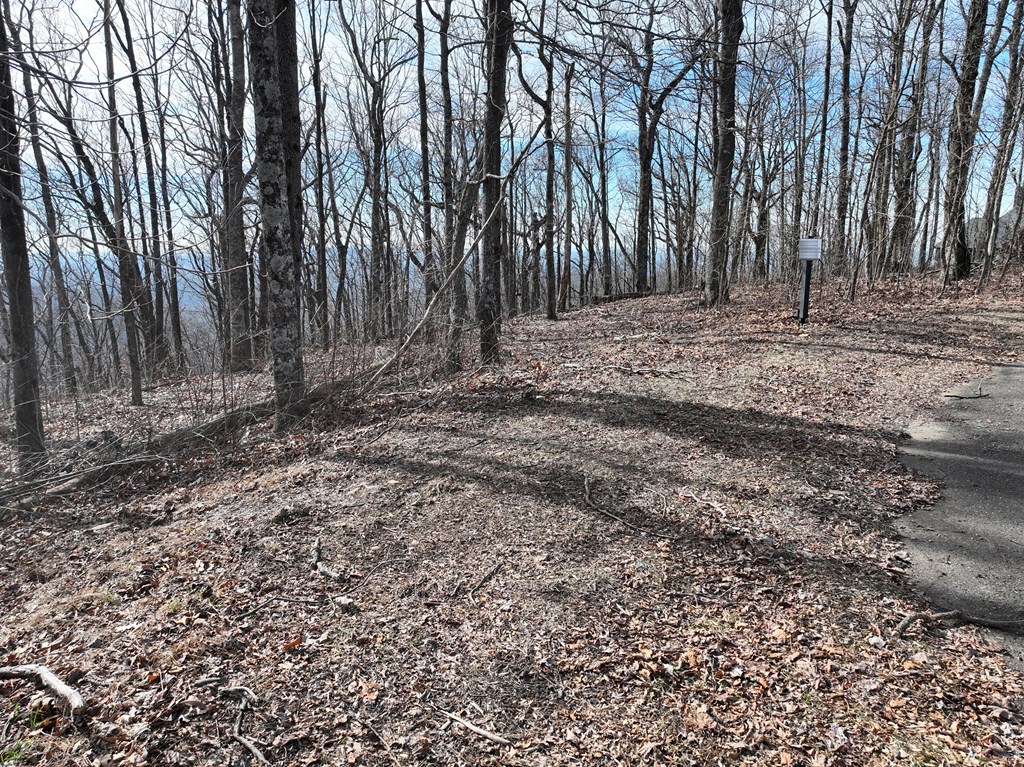 256 Blood Root Trail Property Photo 38