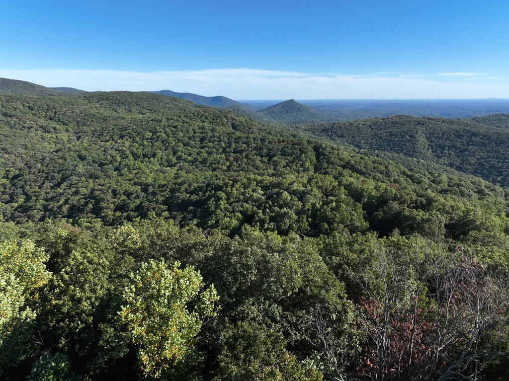 256 Blood Root Trail Property Photo 40