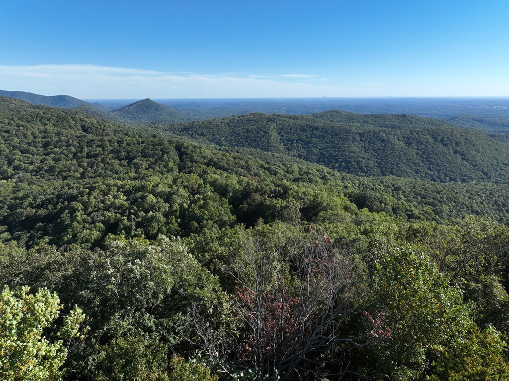 256 Blood Root Trail Property Photo 41