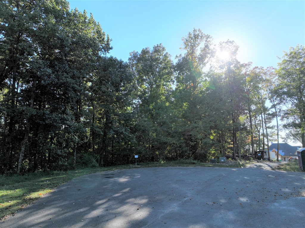 256 Blood Root Trail Property Photo 42