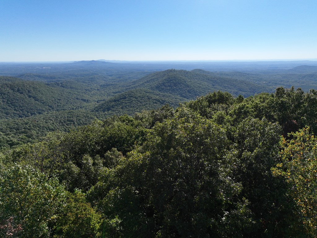 256 Blood Root Trail Property Photo 43