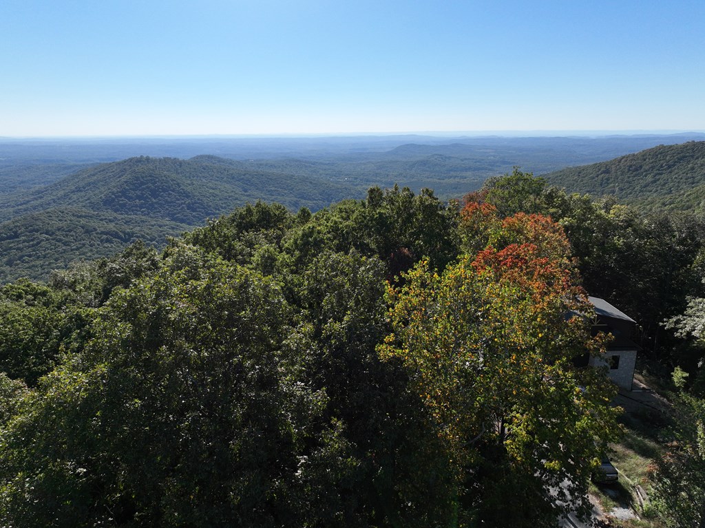 256 Blood Root Trail Property Photo 44