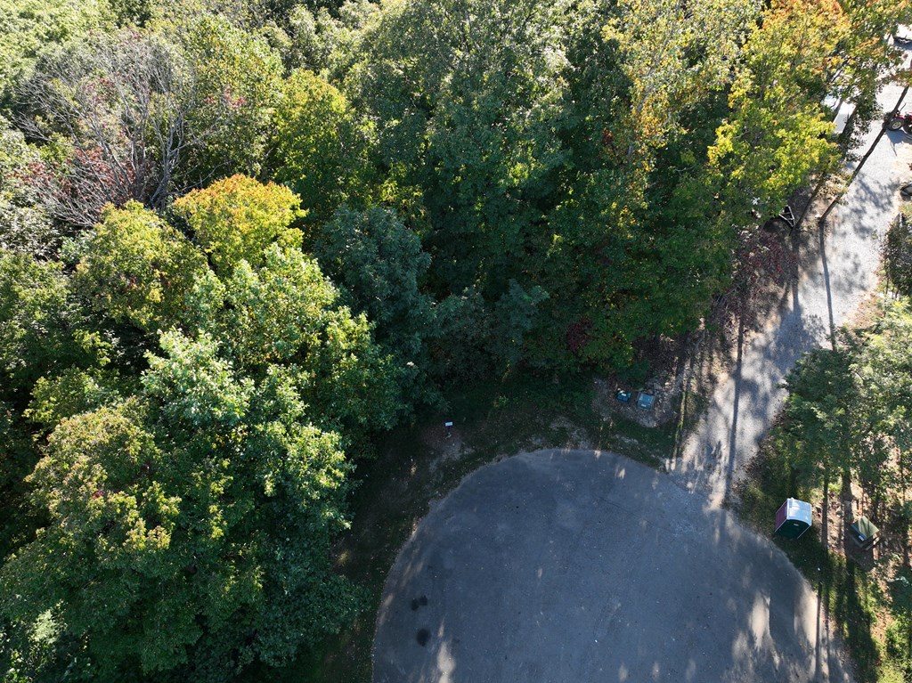 256 Blood Root Trail Property Photo 45