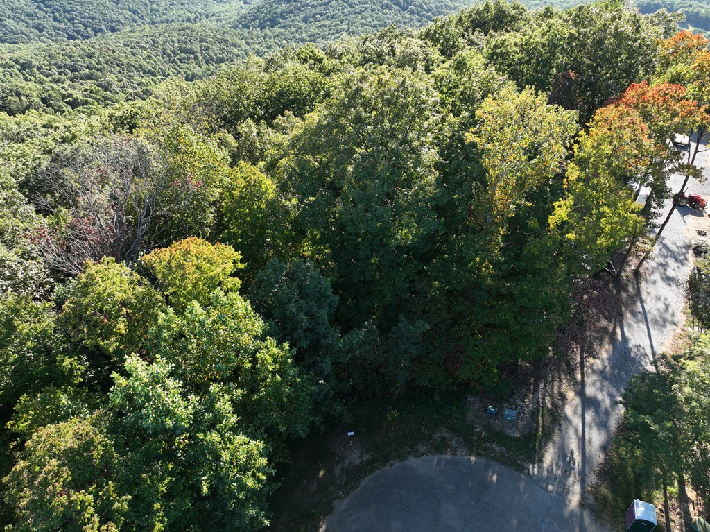 256 Blood Root Trail Property Photo 46