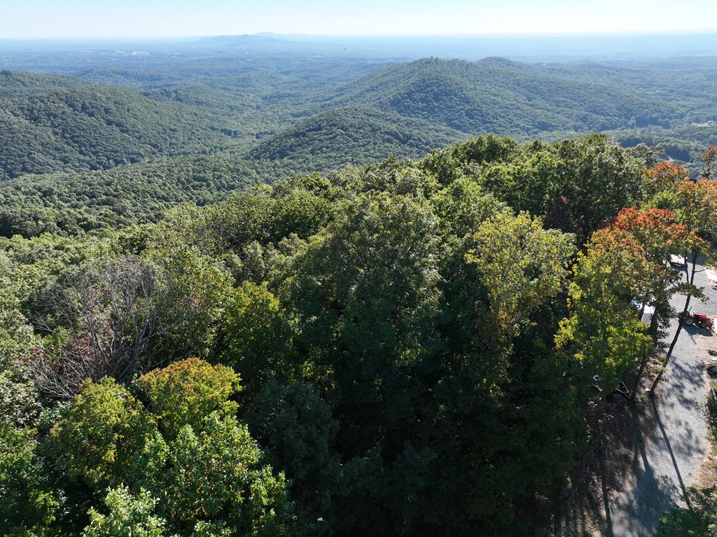256 Blood Root Trail Property Photo 47
