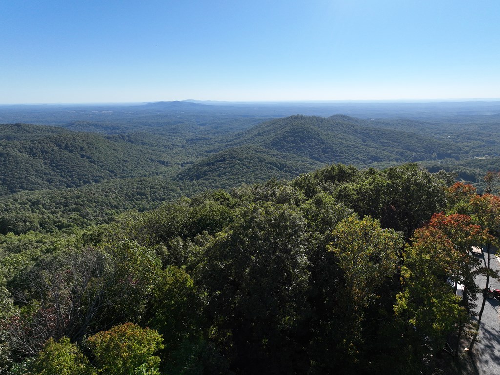 256 Blood Root Trail Property Photo 48