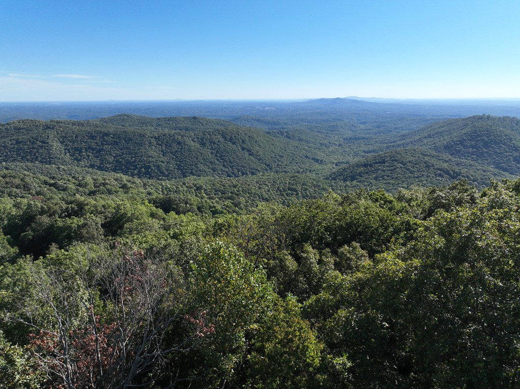 256 Blood Root Trail Property Photo 49