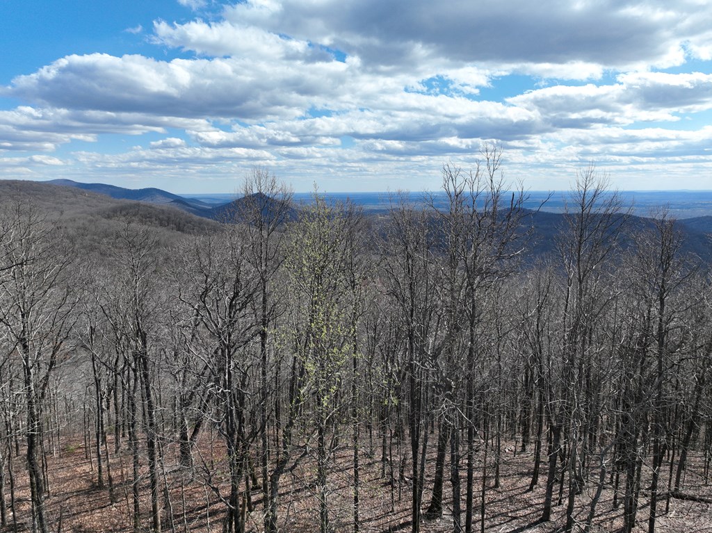 256 Blood Root Trail Property Photo 50