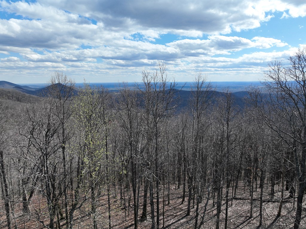 256 Blood Root Trail Property Photo 51