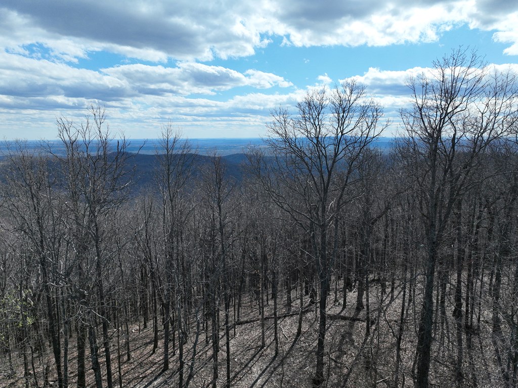 256 Blood Root Trail Property Photo 52