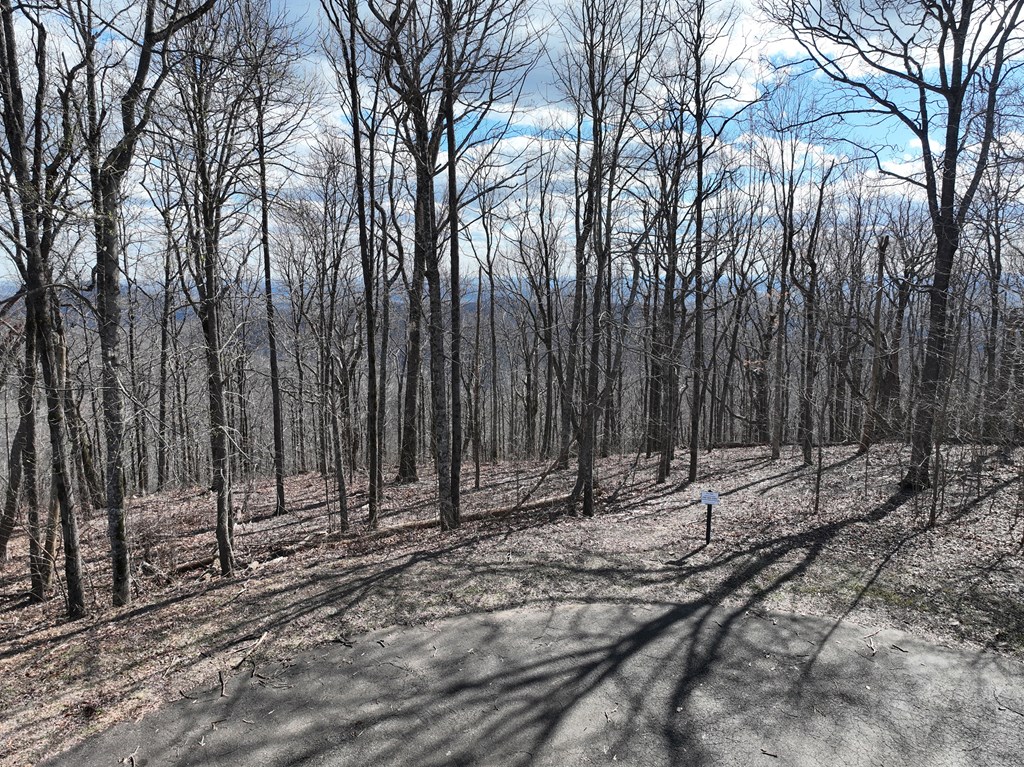 256 Blood Root Trail Property Photo 53