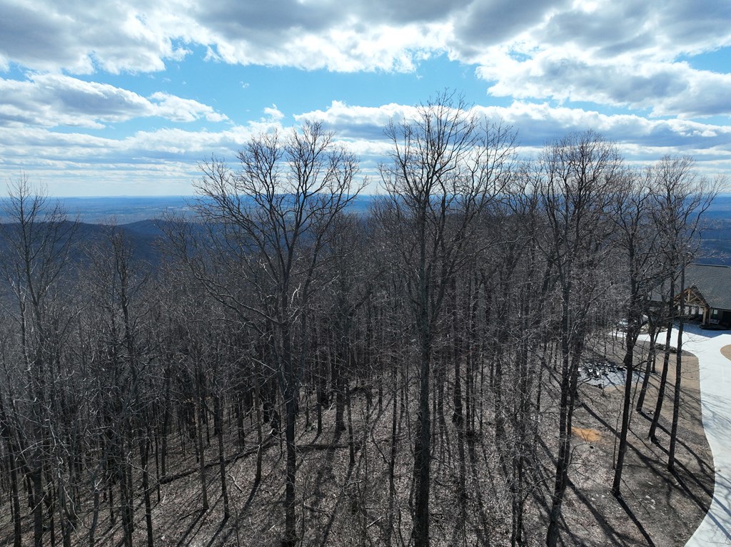 256 Blood Root Trail Property Photo 54