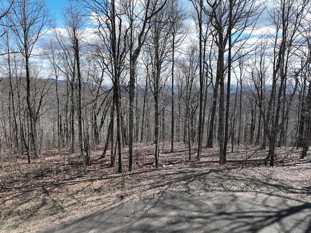 256 Blood Root Trail Property Photo 55