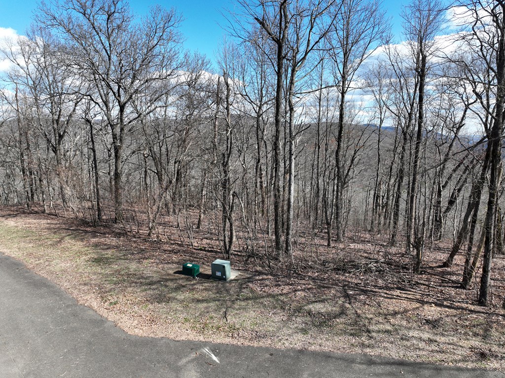 256 Blood Root Trail Property Photo 56