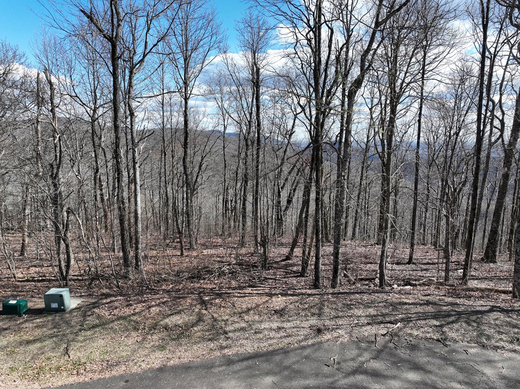 256 Blood Root Trail Property Photo 57
