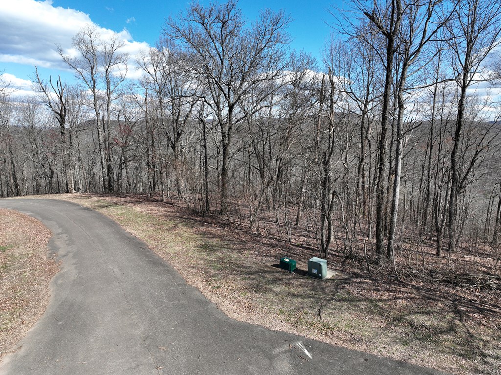 256 Blood Root Trail Property Photo 58