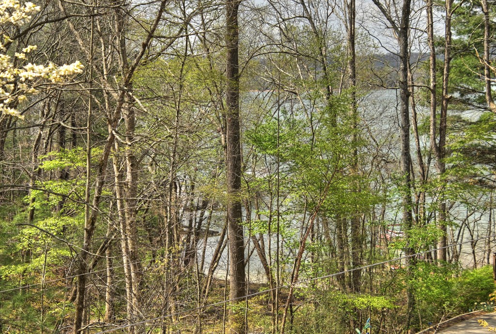 32 Lake Front Property Photo 2
