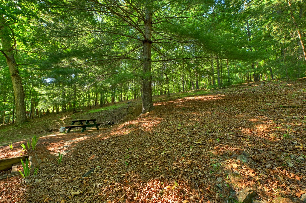 32 Lake Front Property Photo 6
