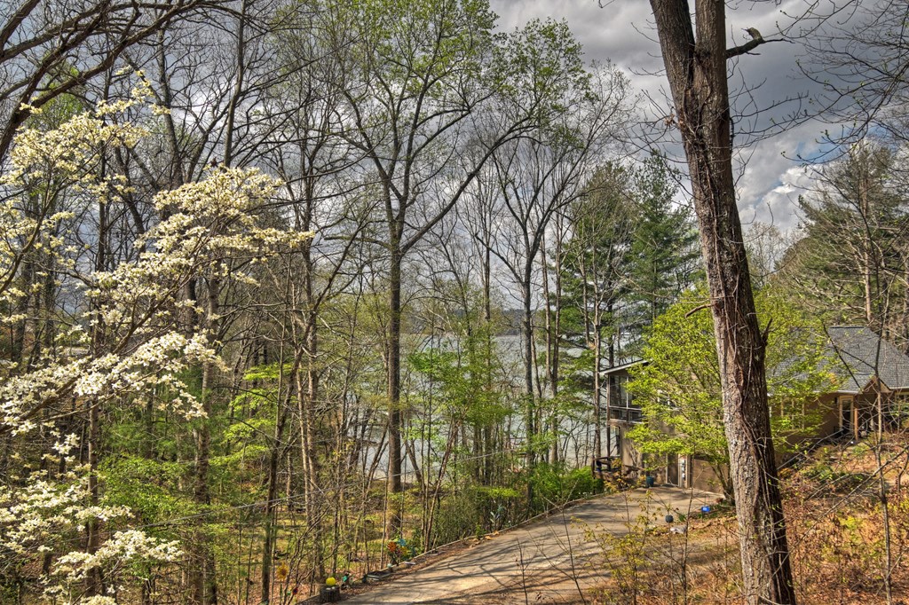 32 Lake Front Property Photo 27