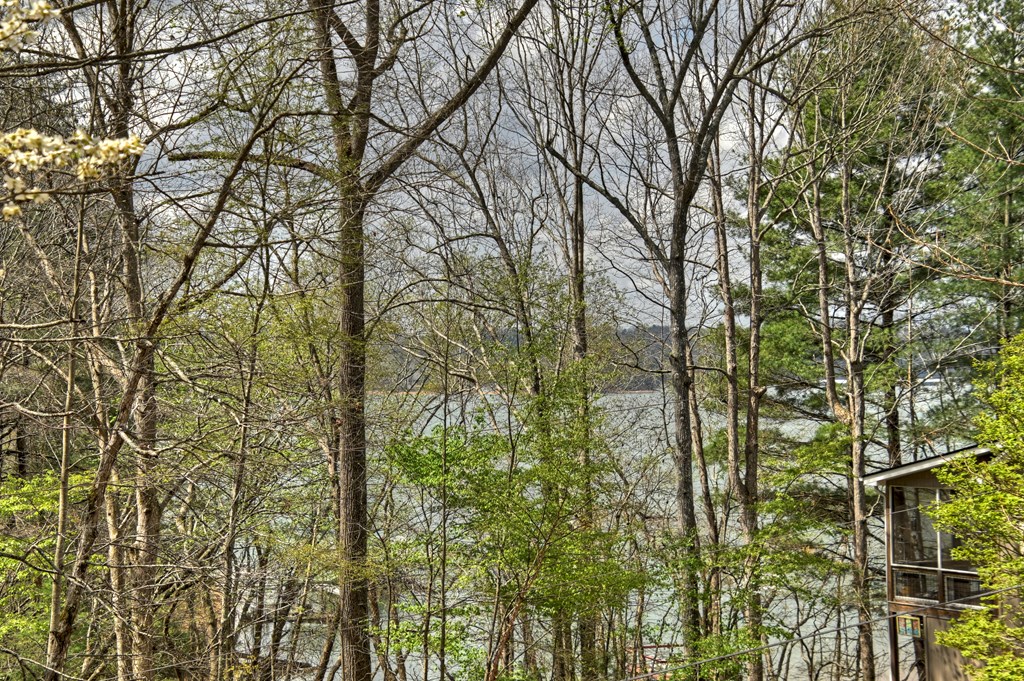32 Lake Front Property Photo 28