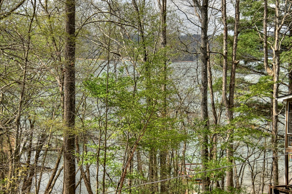 32 Lake Front Property Photo 29