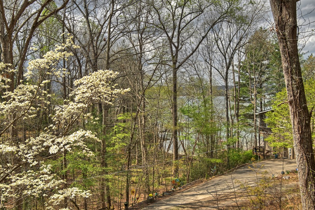 32 Lake Front Property Photo 30