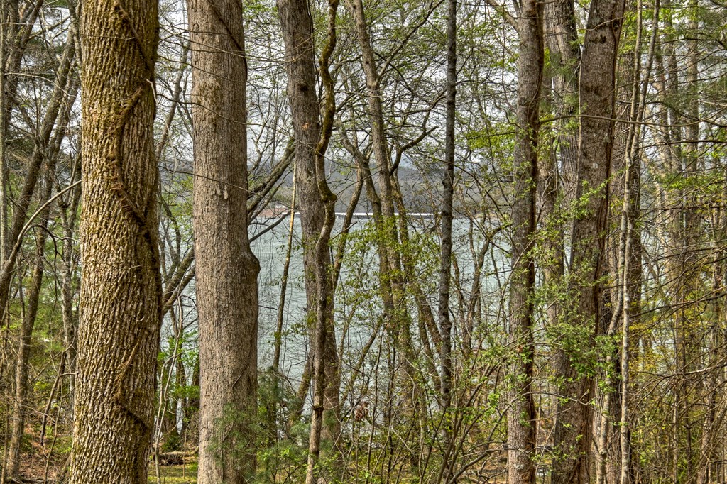 32 Lake Front Property Photo 32
