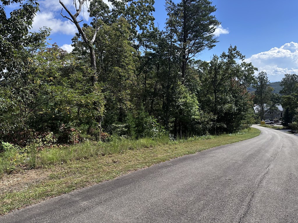 234 Stone Cliff Drive Property Photo 2