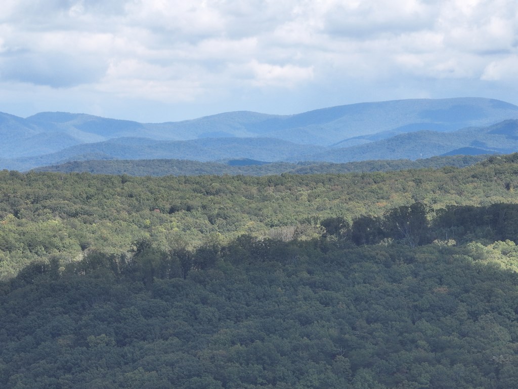 234 Stone Cliff Drive Property Photo 6