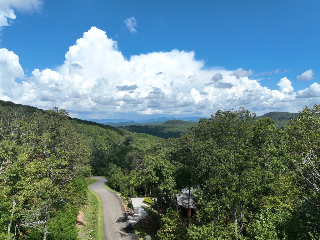 234 Stone Cliff Drive Property Photo 14