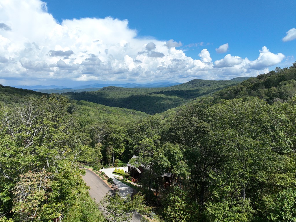 234 Stone Cliff Drive Property Photo 17