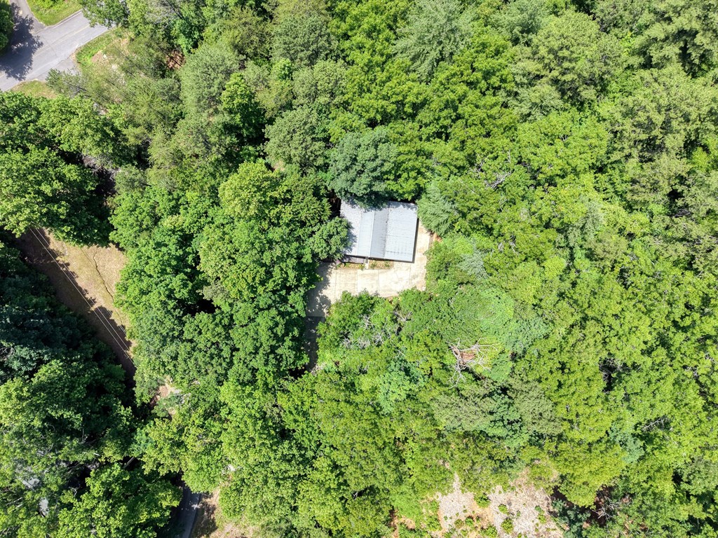 4777 Laurel Mountain Road Property Photo 6