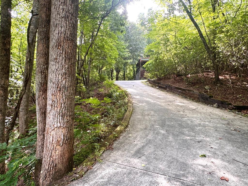 4777 Laurel Mountain Road Property Photo 9