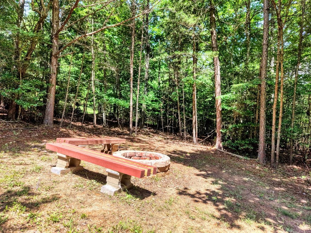 21 Ashley Trail Property Photo 7