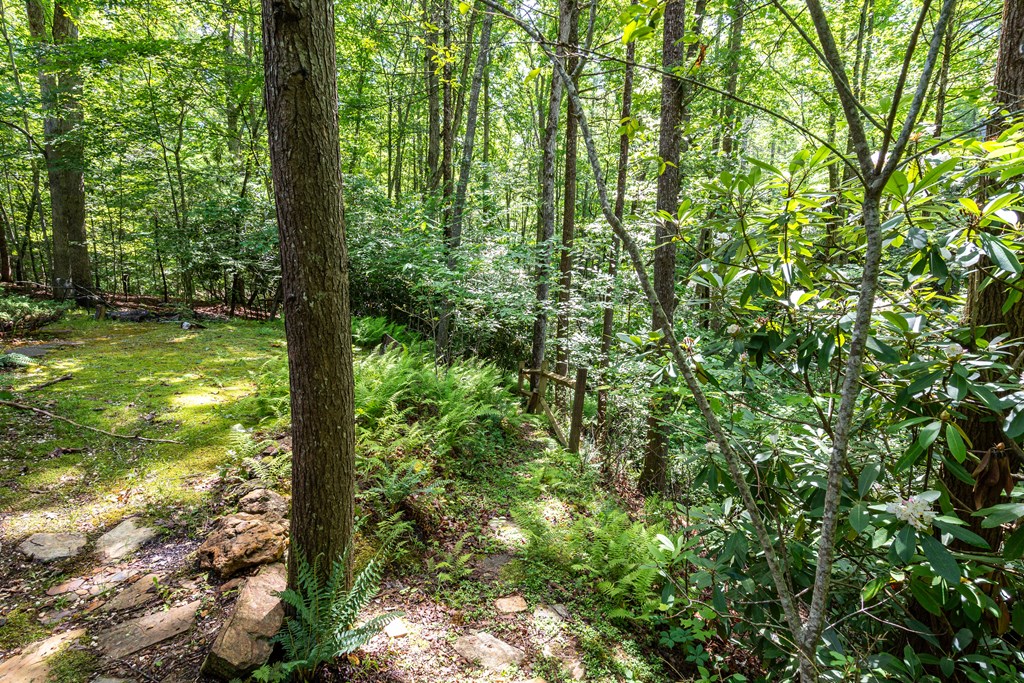 211 Red Oak Forest Lane Property Photo 34
