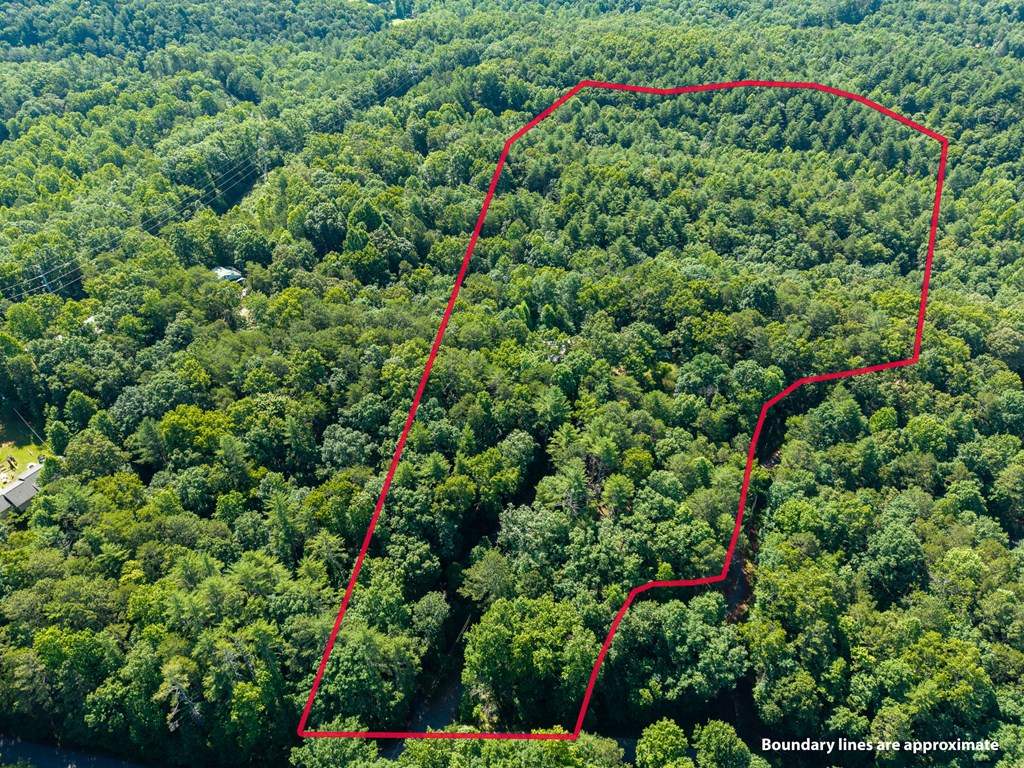 955 Lower Tails Creek Road Property Photo 6
