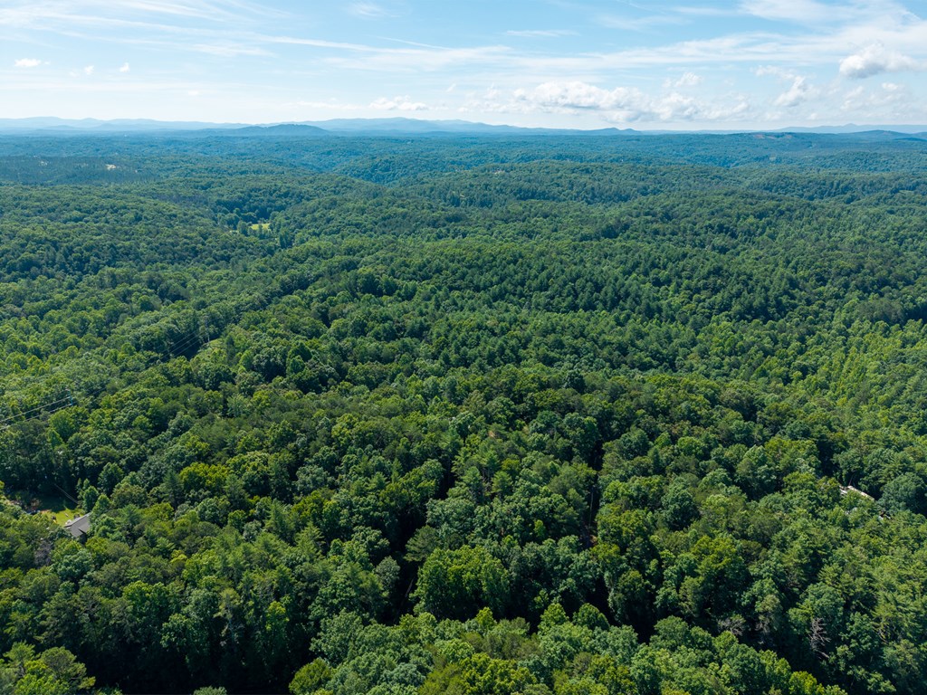 955 Lower Tails Creek Road Property Photo 66