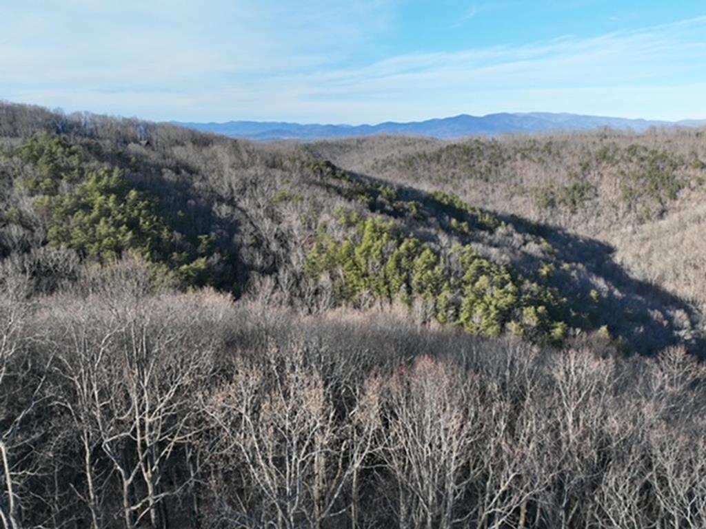 249 Andes Ridge Property Photo 1