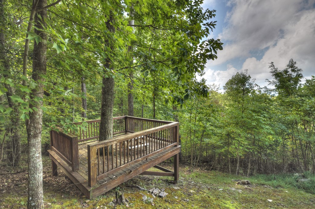 1404 Mountain High Drive Property Photo 49