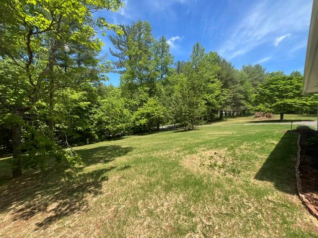 1616 Abe Cove Road Property Photo 6