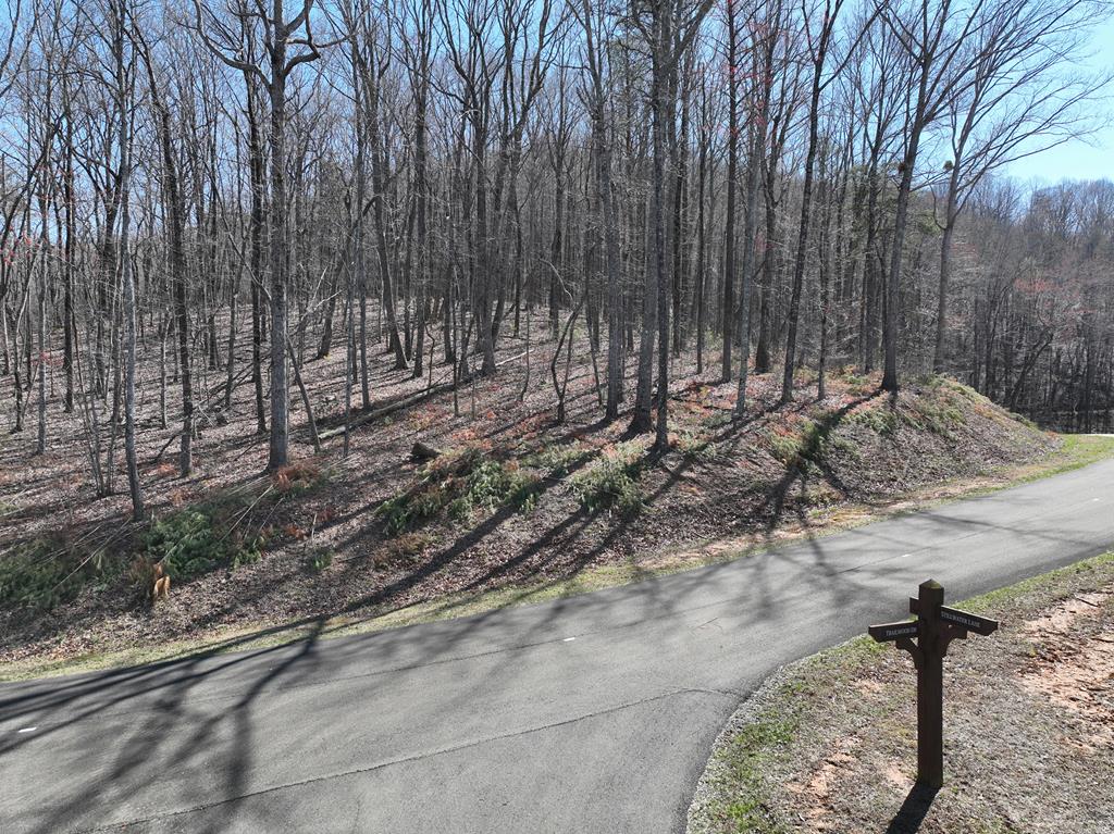 180 Trailwood Drive Property Photo 1