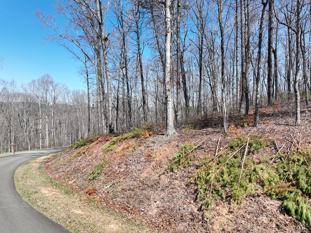 180 Trailwood Drive Property Photo 7