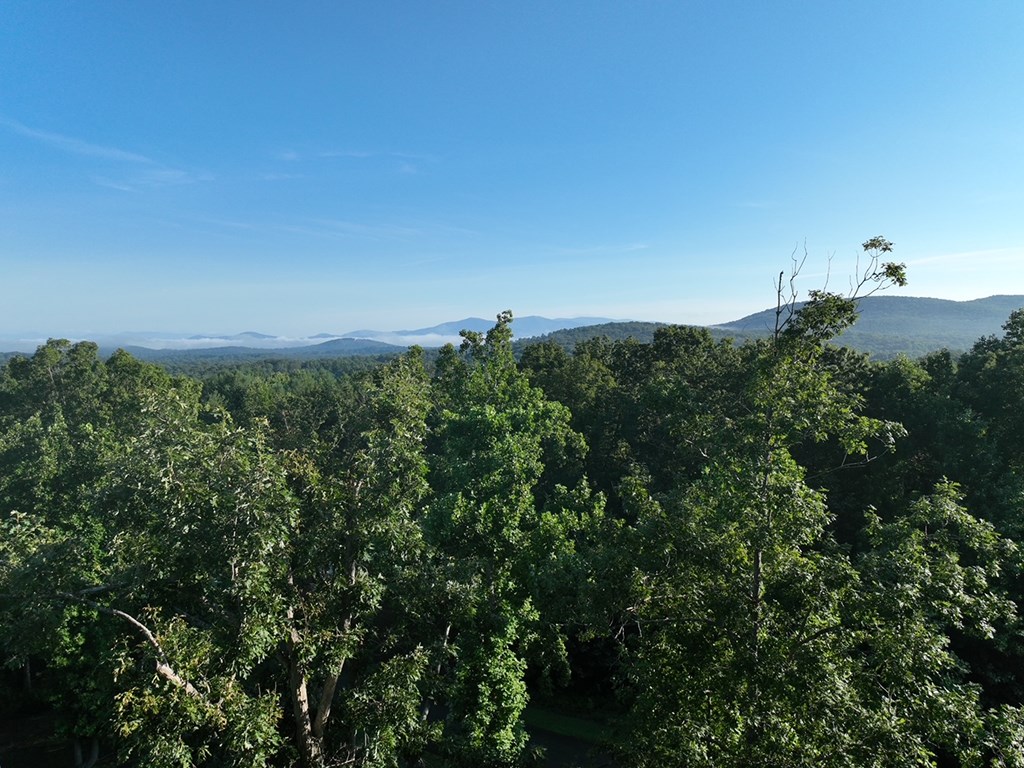 180 Trailwood Drive Property Photo 13