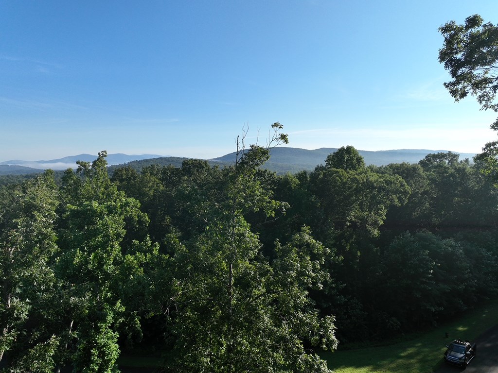 180 Trailwood Drive Property Photo 14