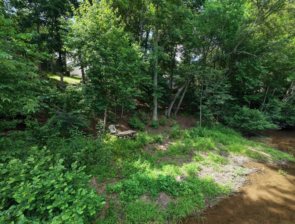 273 Coosa Valley Road Property Photo 59