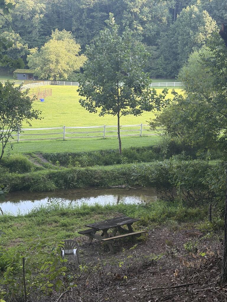 273 Coosa Valley Road Property Photo 67